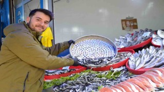 Bu yıl tezgahların yıldızı palamut yerine Karadeniz hamsisi oldu