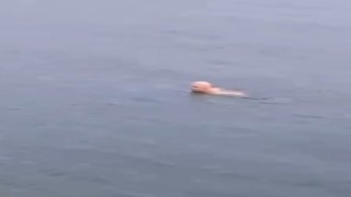 Bursada dondurucu soğukta deniz keyfi
