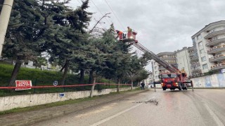 Bursada lodos ağacı devirdi, elektrik hatları zarar gördü