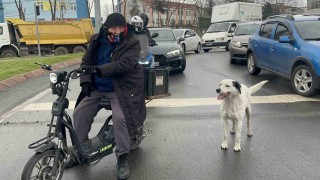 Çarşı pazar peşinden ayrılmıyor