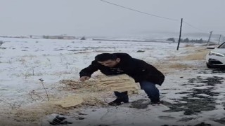 Çermikte yaban hayvanları için doğaya yem bırakıldı