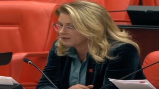 CHP’li Asu Kaya: “Emekliler Bu Ülkenin Onurudur”
