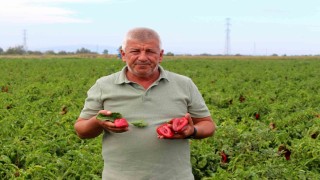 Çiftçilerden çağrı: Üretim maliyetleri baskılanamaz hale geldi