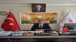 Çiftçilere yüzde 50 hibeli ayçiçeği tohumu dağıtılacak