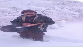 Çobanın yardım çağrısına valilik anında karşılık verdi: Karlı yollar aşılarak hayvanlara yem ulaştırıldı