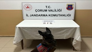 Çorumda uyuşturucu hapla yakalanan 3 kişi gözaltına alındı