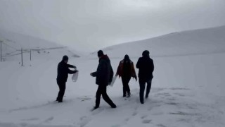 Darendede öğretmen ve öğrencilerden yaban hayvanlarını unutmadı