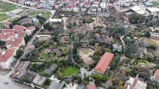 Darıca Hayvanat Bahçesi kapandı, hayvanlar farklı illere nakledildi
