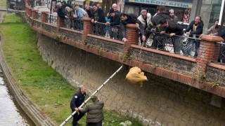 Dere yatağında mahsur kalan köpek itfaiye ve vatandaşın yardımıyla kurtarıldı