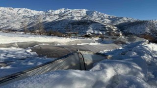 Derecikte kardan dolayı 38 sera zara gördü