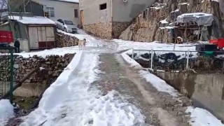 Develide mahalleli köprüye korkuluk istiyor