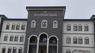 Diclede 1 yılda 6 bin 519 adet kök kenevir ele geçirildi