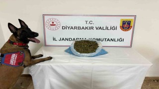 Diyarbakırda 41 kilo esrar ele geçirildi