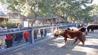 Doğal Yaşam Parkında çocuklara hayvan ve doğa sevgisi aşılanıyor
