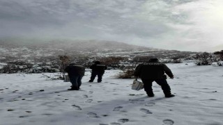 Dondurucu soğuklarda yaban hayata umut oldular