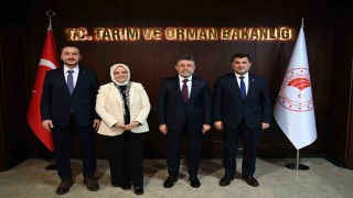 Düzcenin tarımı, taşkın riski ve DSİ yatırımları görüşüldü