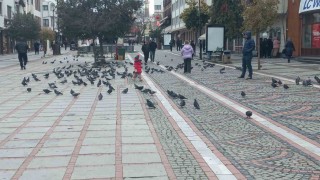 Edirnede dondurucu soğuk: Edirneliler evde, Bulgarlar mağazalarda