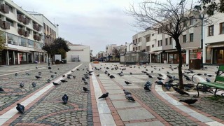 Edirnede kar gitti, ayaz geldi: Pandemi günlerini aratmayan sessizlik