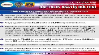 Elazığda asayiş uygulamaları: 238 olayda 304 şahıs yakalandı