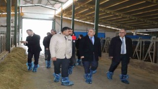 Elazığda hayvancılık altyapısı yerinde incelendi