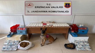 Erzincan İl Jandarma Komutanlığının 2025 yılı faaliyet bilançosu açıklandı