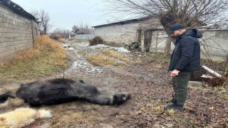 Erzincanda at ve eşek silahla katledildi