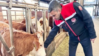 Erzurumda 2025 yılında üreticiye güçlü destek
