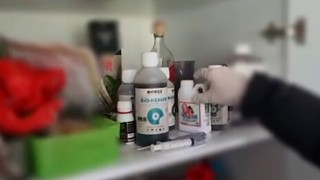 Evin bir odasını uyuşturucu serasına çeviren şüphelileri polis yakaladı