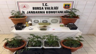Evine klima takıp uyuşturucu imalathanesine çevirdi