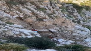Fethiyede kayalıklarda mahsur kalan keçi kurtarıldı