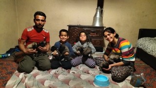 Fırtına sonrası devrilen ağaçların altında kalarak telef olan anne köpeğin yavrularına sahip çıktılar