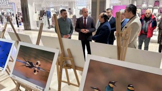 Gaziantepin Kuşları sergisi açıldı