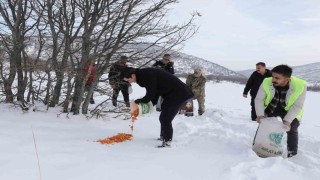 Gençte yaban hayvanları için doğaya yem bırakıldı