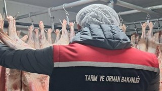Gıda satışı yapan işletmeler denetlendi