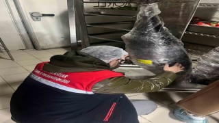 Gıda üretim ve satışı yapan işletmelerine yönelik denetim