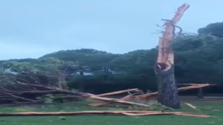 Golf sahasına düşen yıldırım ağacı parçalara ayırdı