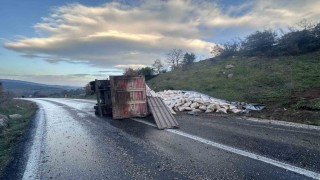 Gönen-Denizkent yolunda kamyon devrildi