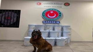 Gümrükler Muhafaza ekiplerince düzenlenen operasyonlarda 1 milyar 945 milyon lira değerinde uyuşturucu madde yakalandı