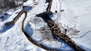 Hakkaride 1 buçuk metreyi aşan karda çiftçilerin zorlu mesaisi sürüyor
