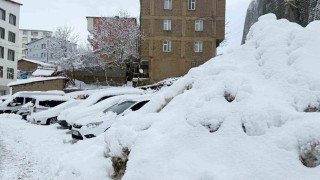 Hakkaride 223 yerleşim yerinin yolu ulaşıma kapandı