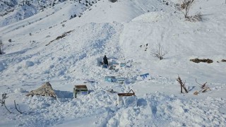Hakkaride 32 arı kovanı çığ altında kaldı