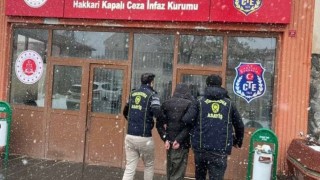 Hakkaride uyuşturucu ve hırsızlık operasyonu