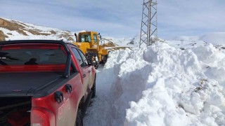 Hakkaride zorlu kışta su seferberliği