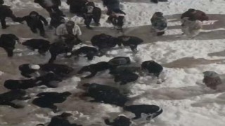 Hakkâride çatıdan düşen kar kütlesinin altında kalan öğrenci yaralandı