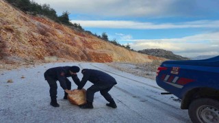 Harmankaya Tabiat Kanyonunun yolunu düşen kaya parçası jandarma tarafından kaldırıldı
