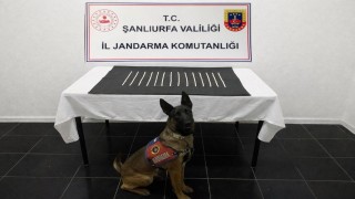 Harranda uyuşturucu operasyonu: 2 gözaltı