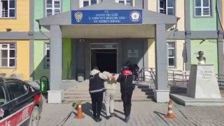 Hatayda 750 bin liralık hırsızlık şüphelisi tutuklandı