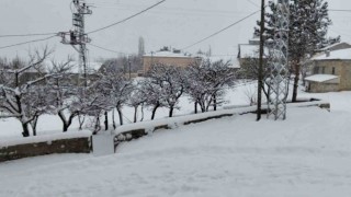 Her şey devletten beklenmez diyerek köy yollarını kendi imkanlarıyla temizlediler