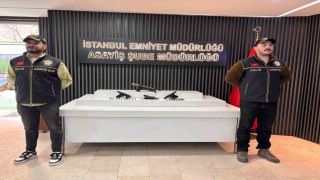 İstanbulda yeni nesil suç çetelerine operasyon: 18 tutuklama