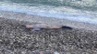 İzmirde deniz kıyısında çocuk cesedi